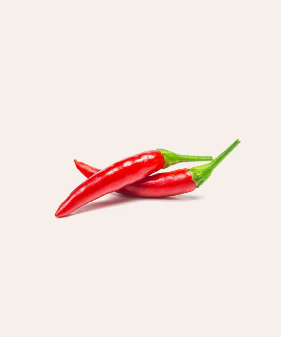 CHILI PEPPER